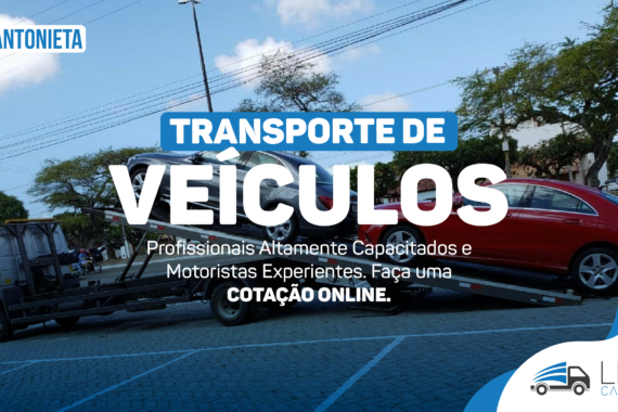 Carreto Vila Antonieta