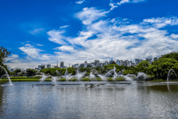 Zona sul de São Paulo